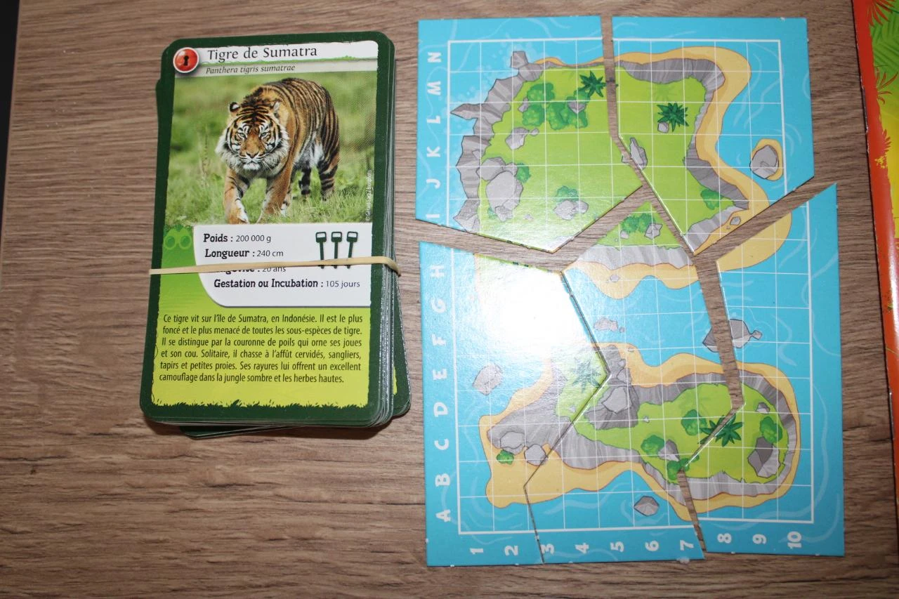 Nature Challenges Escapade Operation Camouflage Bioviva 7yrs and up – photo 5